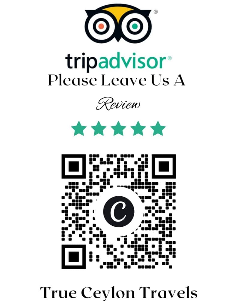 Scan to leave a Tripadvisor review for True Ceylon Travels